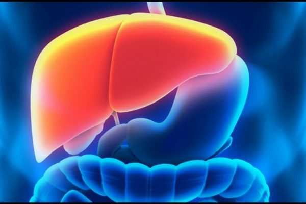 hepatobilier-ultrason