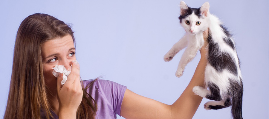 evcil-hayvan-kedi-kopek-alerjisi