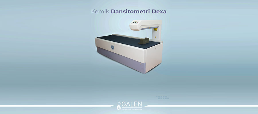 dexa-scan