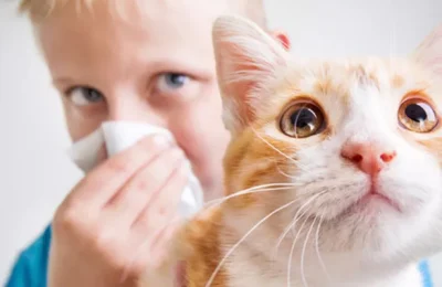 kedi-alerjisi-testi-oncesi-690df82d1fb68
