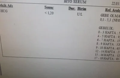 5 Soruda Hamilelik Kan Testi