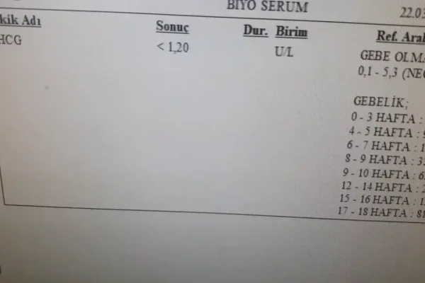 5 Soruda Hamilelik Kan Testi